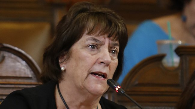 Gratuidad: Tribunal Constitucional acogió a trámite recurso de la oposición