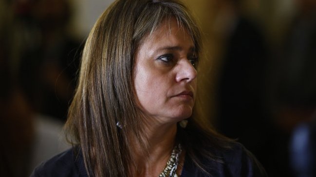 Senadora Van Rysselberghe: Jovino Novoa pagó con creces la situación