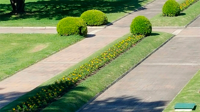 Imagen foto_00000002