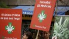 Diputado Castro explicó los medicamentos que se podrán elaborar con cannabis