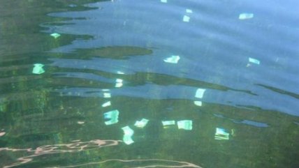  Dos jóvenes encontraron 100 mil euros flotando en el Río Danubio 