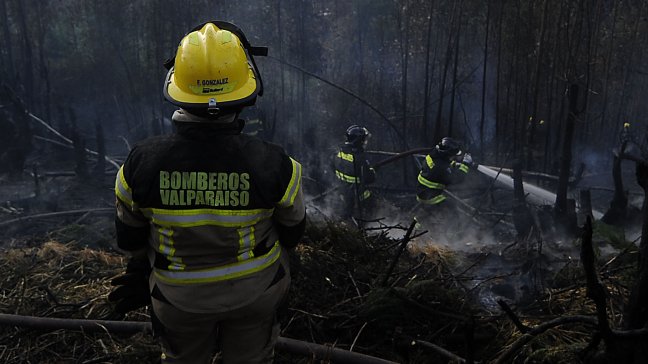 Alerta amarilla por incendio forestal en Villa Alemana