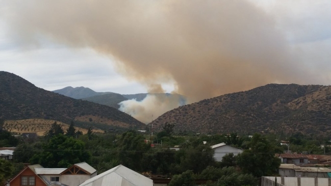 Conaf y Bomberos combaten incendio forestal en Tiltil