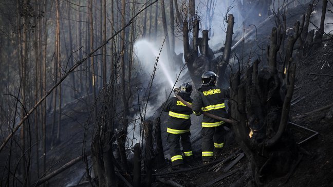 Onemi decretó alerta roja por incendio forestal en San Antonio