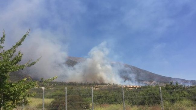 Se reactiva incendio forestal en sector de Alto Macul