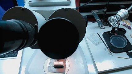   Artista se luce con obra microscópica 