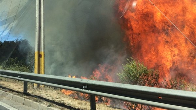 Onemi decretó Alerta Roja por incendio en Viña del Mar