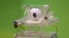 Ya están los siete ganadores del inédito sorteo \