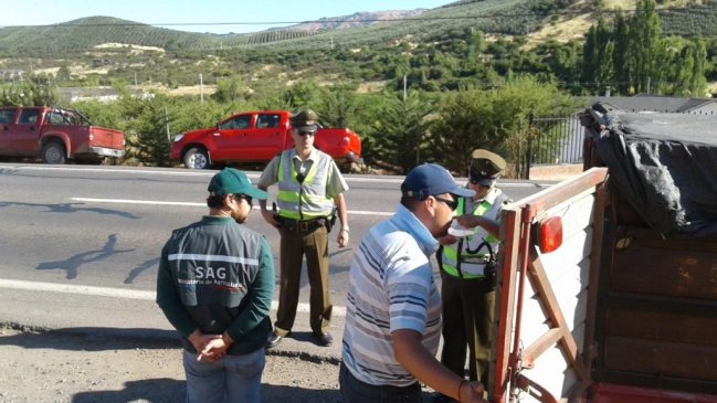 Autoridades fiscalizan para evitar el robo de ganado en Región del Maule