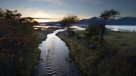 Estudio reveló que agua dulce de Puerto Williams es la más pura del mundo