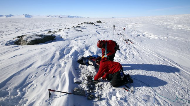 Nanopartículas de la Antártida: potenciales colaboradores en el tratamiento del cáncer