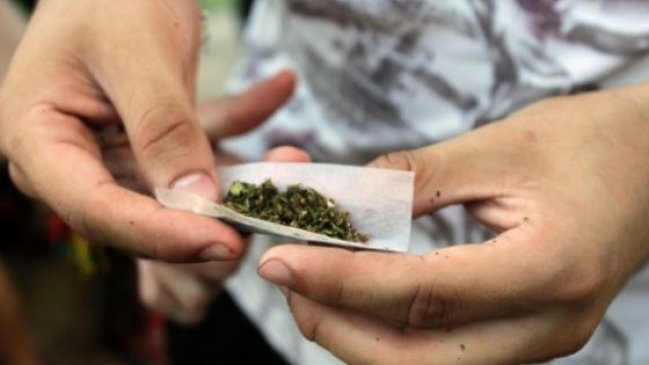 Legislativo mexicano iniciará en enero debate sobre el uso de la marihuana