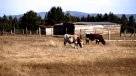 La Justa Medida: ¿Cuánto afecta la sequía a la producción de alimentos?