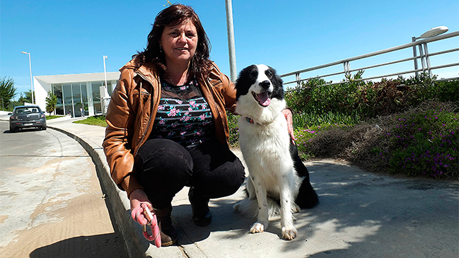 Imagen foto_00000015