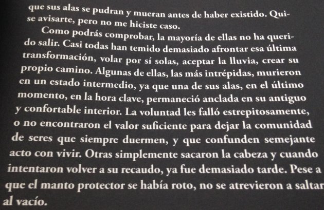 Imagen foto_00000020