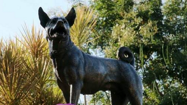 Levantan un monumento en memoria de la perra del rey de Tailandia