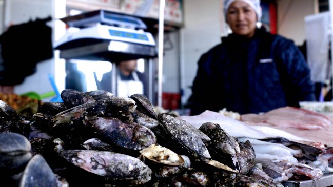 Autoridad detectó veneno diarreico en mariscos de Talcahuano
