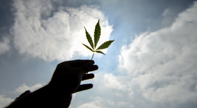 Alcalde de Ciudad de México aboga por uso libre de la marihuana