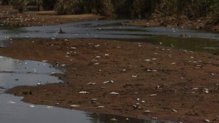   Alerta en Malasia por altos niveles de contaminación 