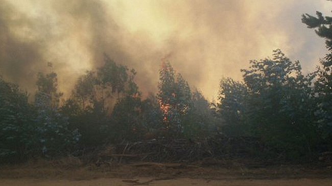 Onemi emitió alerta por incendio de 