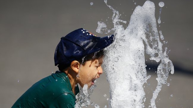 Fonasa: Por el cambio climático pueden llegar enfermedades que en Chile no existen