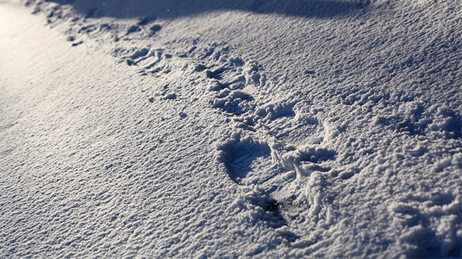 Científicos descubrieron un gran sistema de cañones bajo el hielo de la Antártica