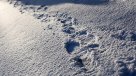 Científicos descubrieron un gran sistema de cañones bajo el hielo de la Antártica