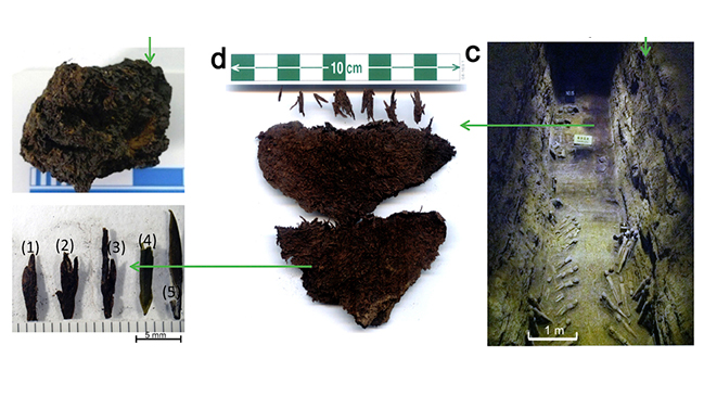 Encontraron el té más antiguo del mundo