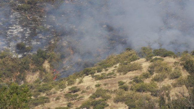 Conaf y Onemi mantienen alertas por incendios forestales