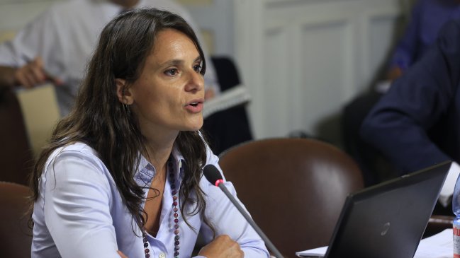 Economista: Estamos en una semana decisiva para Ley de Partidos Políticos