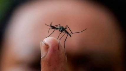  Jamaica pide evitar embarazos por amenaza de virus  