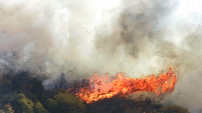 Onemi declaró Alerta Roja en tres comunas del país por incendios forestales