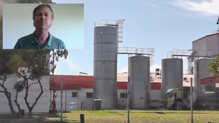   Lecheros de Osorno denuncian 