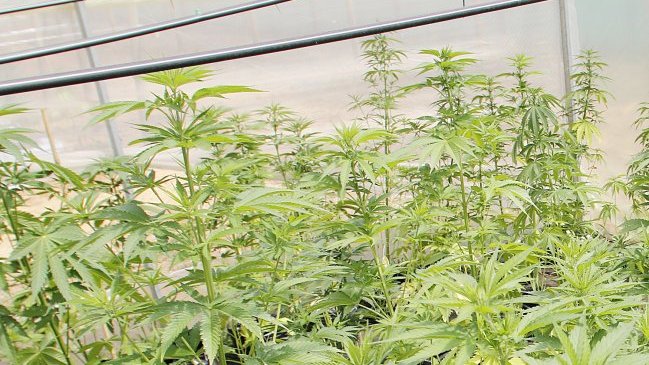 Reclaman en Uruguay por norma que 