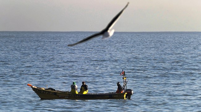 Gobierno propondrá al Congreso 