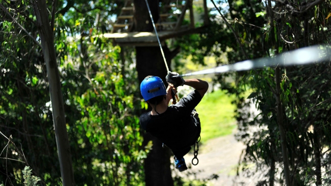 Hombre murió al estrellarse con un árbol mientras practicaba canopy