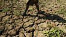 Más de 60 millones de personas en el mundo padecerán los efectos de El Niño