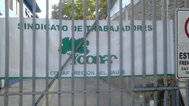 Sindicatos de Conaf y paro de advertencia: 