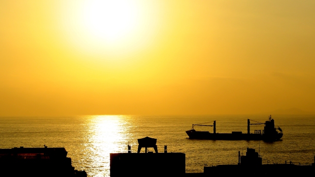 Bolivia anunció acciones para recuperar libre tránsito por puerto de Antofagasta