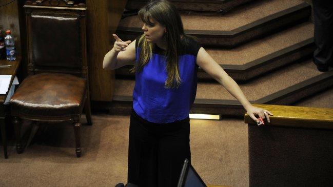 Caso Penta: Autorizaron levantar secreto bancario de Ena Von Baer