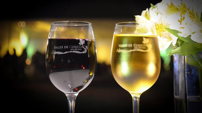 Vichuquén celebrará una nueva edición de su Noche de las Viñas