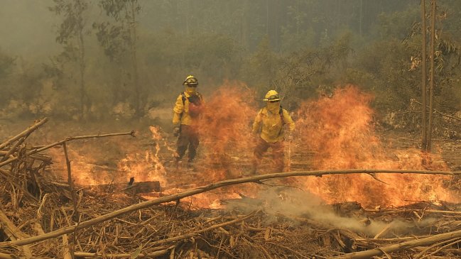 Onemi levantó alerta roja por incendio forestal en Quilpué