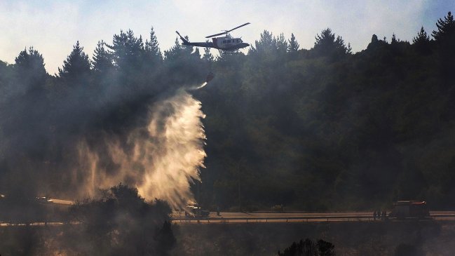 Incendio forestal consume más de 750 hectáreas en La Araucanía