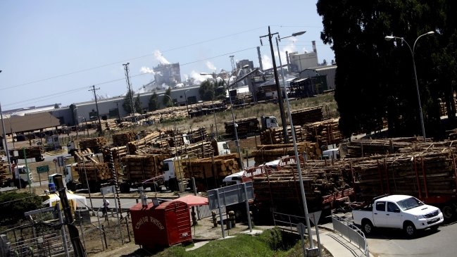 Camioneros levantaron bloqueo a planta de Celulosa Arauco