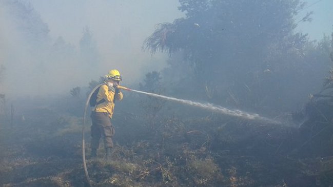 Continúa la alerta roja por los incendios forestales en Puerto Montt