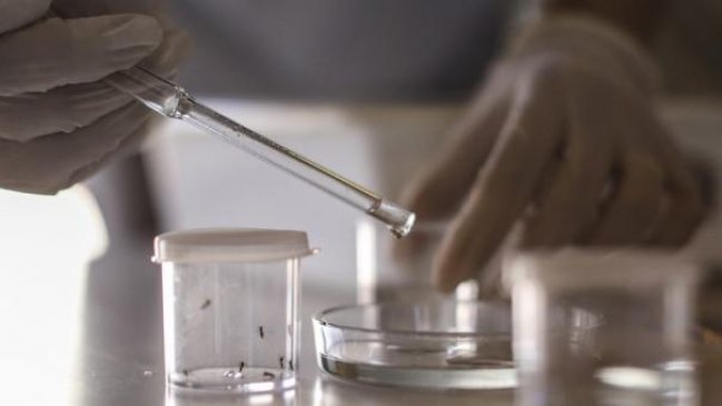 Bolivia confirmó quinto caso de Zika