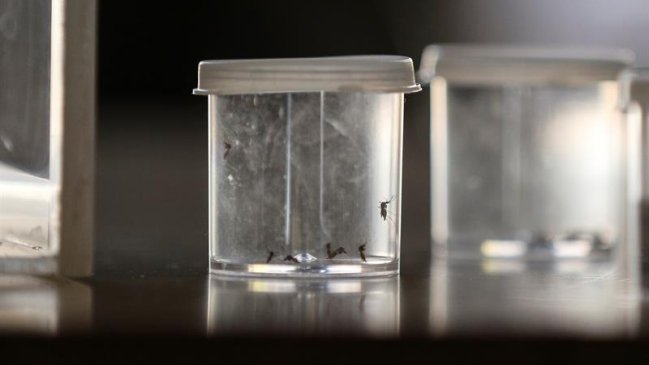 Barack Obama pedirá al Congreso 1.800 millones de dólares para la respuesta al Zika