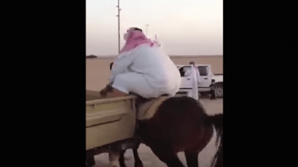   Caballo no puede cargar a un hombre con sobrepeso 