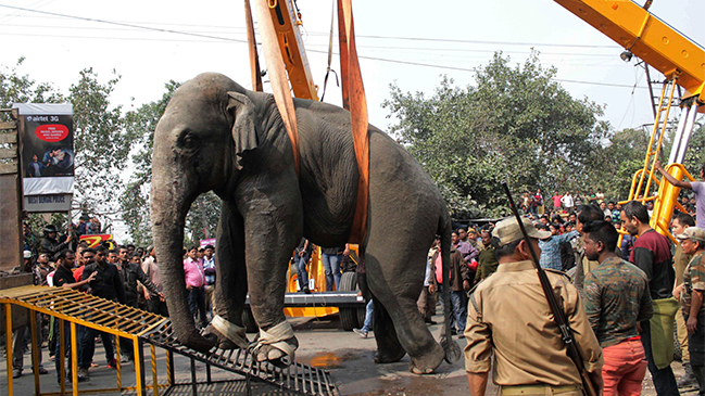 Imagen foto_00000001