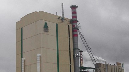  Trabajador murió electrocutado en planta de celulosa  
